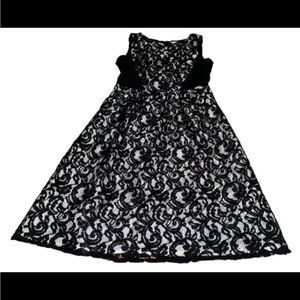 Calvin Klein Womens Sheath Dress Black Lace Overlay Scoop Neck Sleeveless Size 6